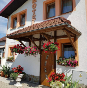 Hotel Zaułek Olszyna